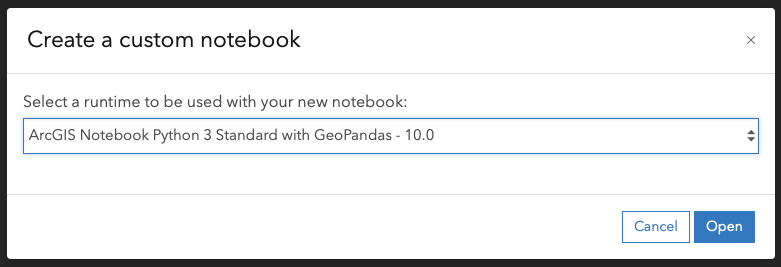Select Custom Runtime